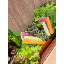 天月 あすな
