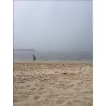 愛羽 仁美