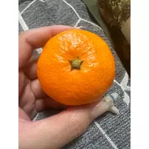 るな