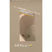 足立 はな