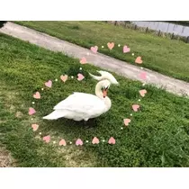 未来