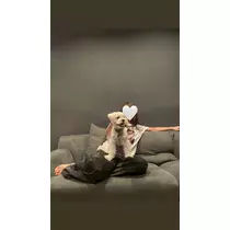 麗日 ひな