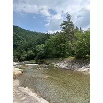 さえ