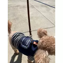 ふうか