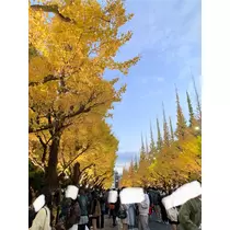 はづき