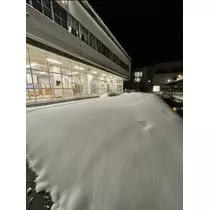 宝條 夏恋