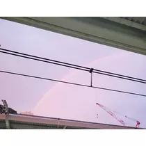 紫音