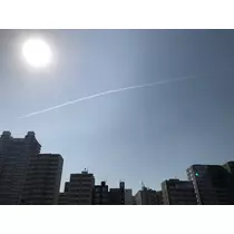 黒崎 みすず