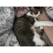 メイ
