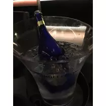 白石 愛莉