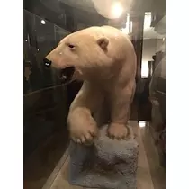 愛羽 仁美