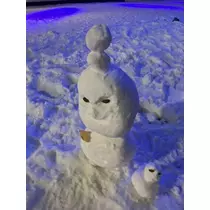 七星 夏純