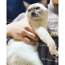 ゆりな