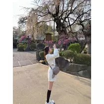 あやめ