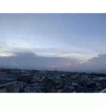 はつね