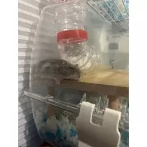 かびるんるんさわ