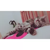 夢乃 サラ