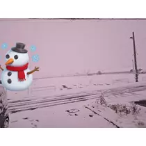 りん