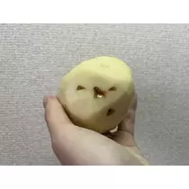 七星 夏純