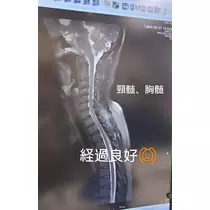 紫音