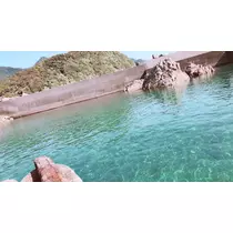 小川 真央