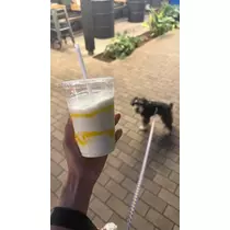 ミナミ