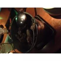 蓮見 リア