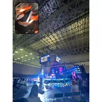 ティラノまな