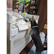 ゆり