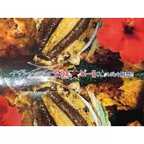 あきな