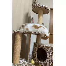 れみ