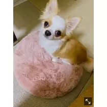 ありさ♡