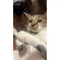 恋麦乃 ちょり