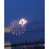 紫音