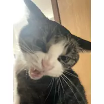 ユズ