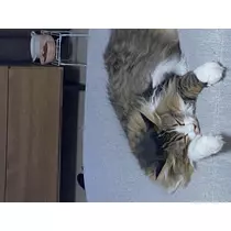 翠