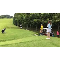 椿