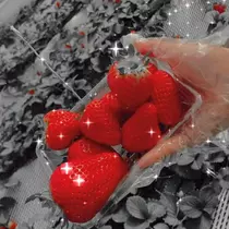 あゆ