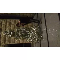 本城 椿