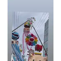 七星 夏純