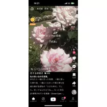 あおい