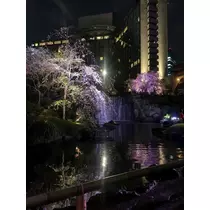 はづき