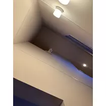 橘 美咲