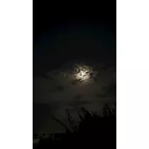 マヤ
