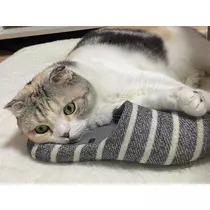 みつき