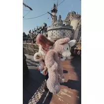 姫花