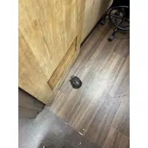 あや