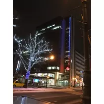 蓮見 リア