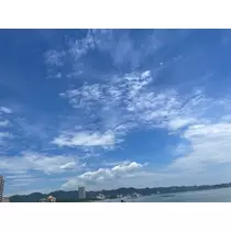 あおい