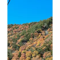 きょう